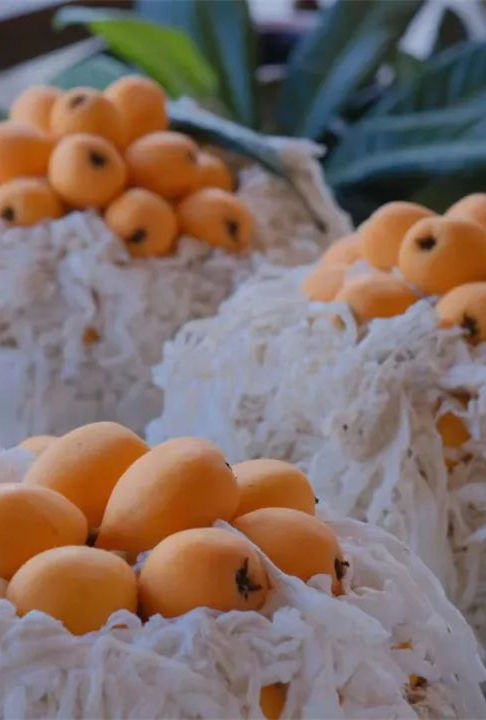 在这里，实现“水果自由”！