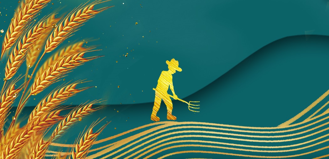 農耕智慧的產物——梯田